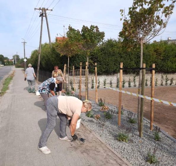 Zdjęcie przedstawia panie z Klubu Seniora w Ostrowcu sprzątające teren przy Domu Wiejskim w Ostrowcu.