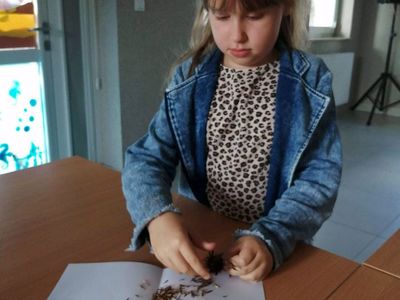 Zdjęcie przedstawia dziewczynkę z PWD Kusice łuskającą nasienniki kwiatowe.