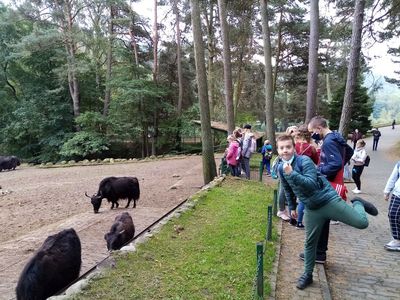 Wychowanek Placówki Wsparcia Dziennego w Karwicach w gdańskim zoo w Oliwie.