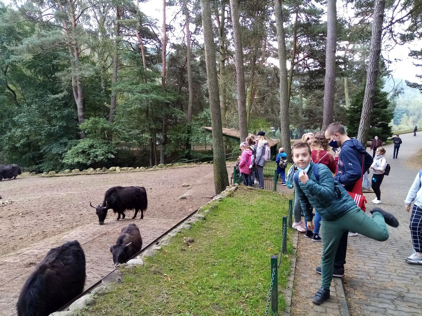 Wychowanek Placówki Wsparcia Dziennego w Karwicach w gdańskim zoo w Oliwie.