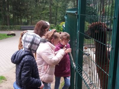 Zdjęcie przedstawia wychowanków z PWD Laski oglądających zwierzęta w ZOO.
