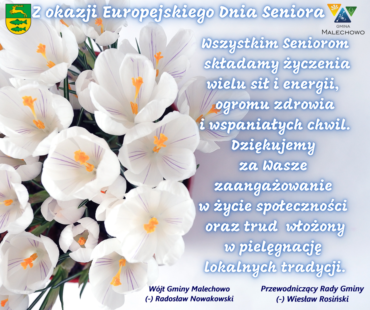 Życzenia z okazji Europejskiego Dnia Seniora.