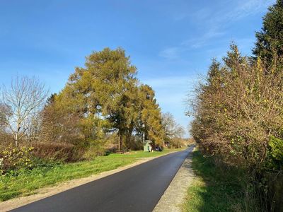 Jedna z dróg w gminie Malechowo w jesiennej odsłonie.