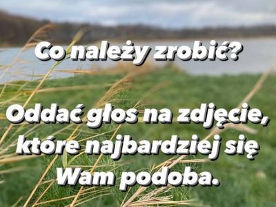 Zdjęcie z instrukcją zasad II etapu konkursu InstaMalechowo 2020.