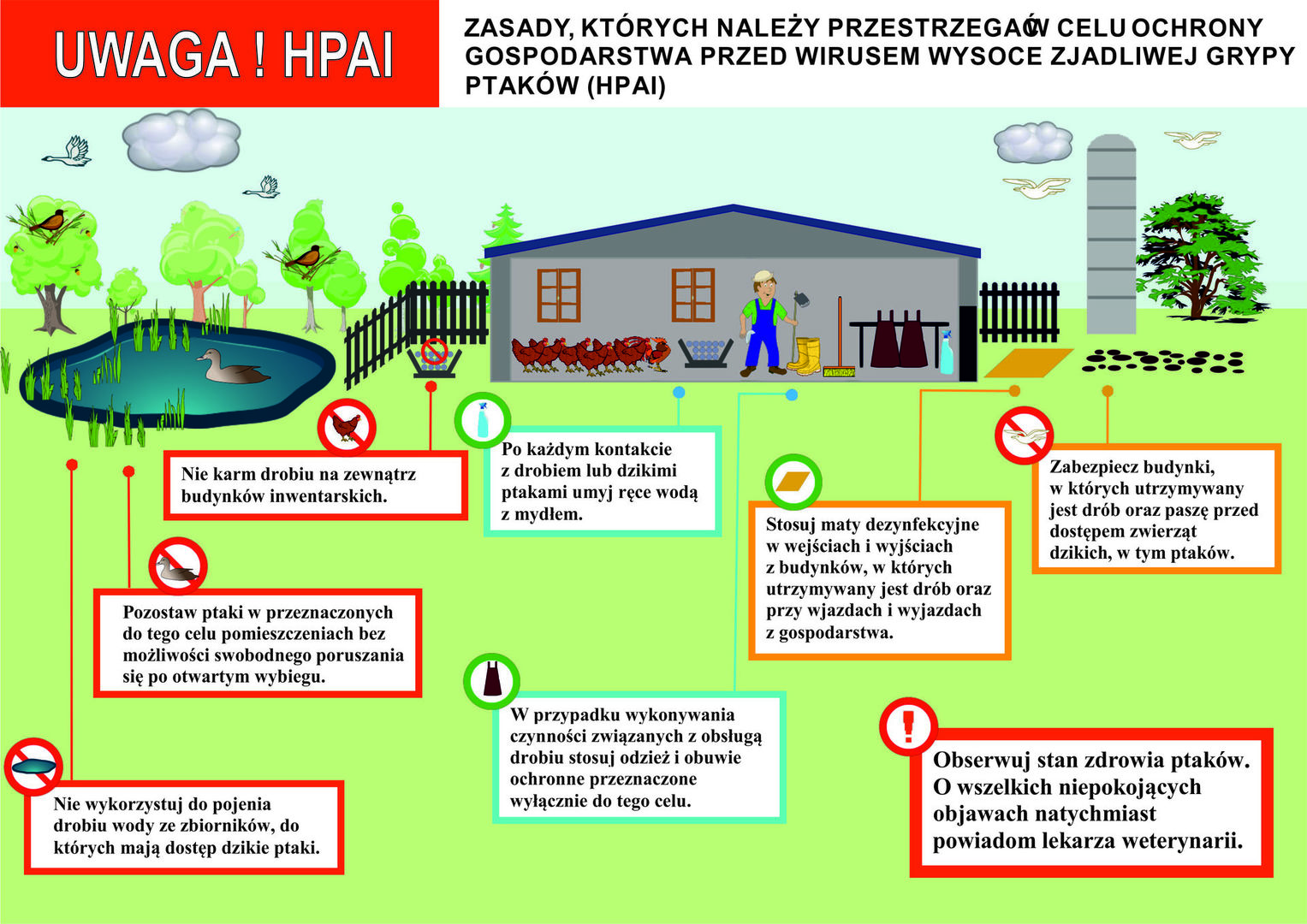Ulotka informacyjna, dotycząca wysoce zjadliwej grypy ptaków (HPAI), podtypu H5N8.