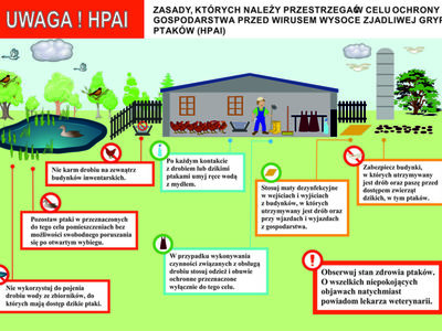 Ulotka informacyjna, dotycząca wysoce zjadliwej grypy ptaków (HPAI), podtypu H5N8.