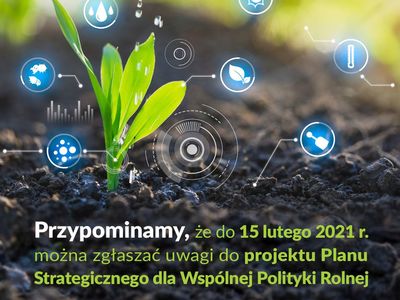 Konsultacje społeczne projektu Planu Strategicznego dla Wspólnej Polityki Rolnej, grafika.