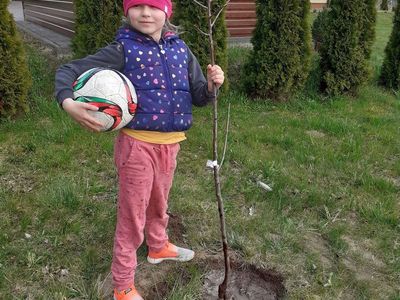Uczennica klasy drugiej ze Szkoły Podstawowej w Niemicy po akcji sadzenia drzew.

