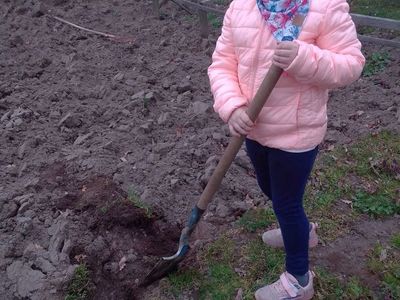 Uczennica klasy ze Szkoły Podstawowej w Niemicy drugiej  podczas prac w ogrodzie.