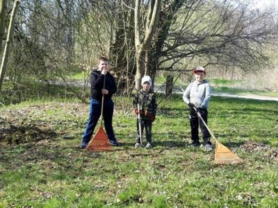 Uczniowie z Zespołu Szkół im. Mikołaja Kopernika w Ostrowc grabiący trawę.