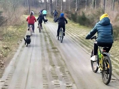 Wychowankowie z Placówki Wsparcia Dziennego w Laskach jadący na rowerach przez las.