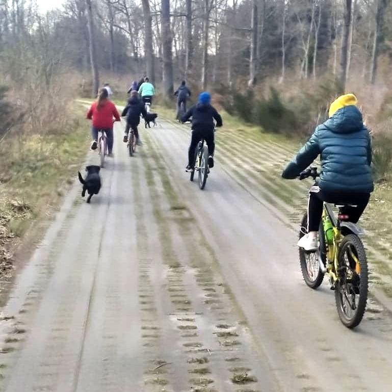Wychowankowie z Placówki Wsparcia Dziennego w Laskach jadący na rowerach przez las.