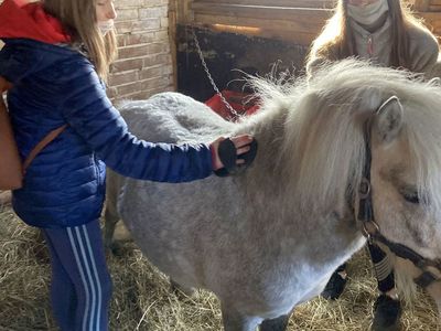 Dzieci z Placówki Wsparcia Dziennego w Święcianowie w trakcie czynności pielęgnacyjnych kucyka.