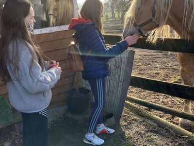 Dzieci z Placówki Wsparcia Dziennego w Święcianowie w trakcie karmienia konia.