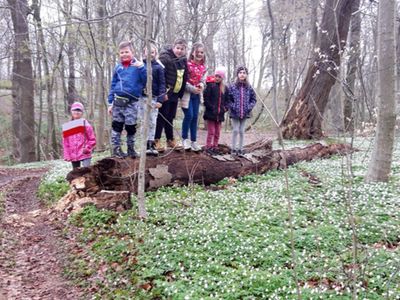 Dzieci z Placówki Wsparcia Dziennego w Kosierzewie z wizytą w zabytkowym parku.