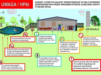Ulotka informująca o HPAI - grypa ptaków.