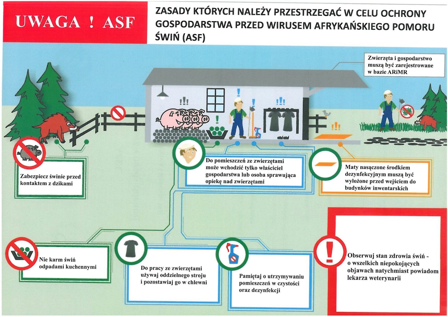 Ulotka informująca o ASF - afrykańskim pomór świń.