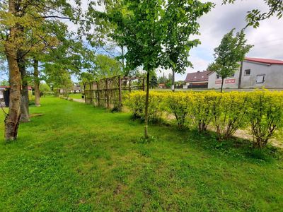 Teren zielony w Sercu Wsi w Malechowie, żywopłot z krzewów, pergola, drzewa i soczysta, zielona trawa.  