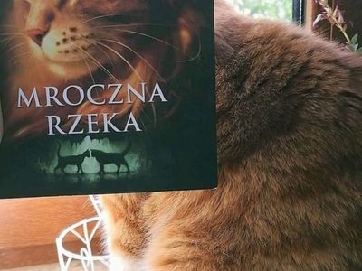 Okładka książki w aranżacji z kotem, praca ucznia ze Szkoły Podstawowej im. Noblistów Polskich w Niemicy w ramach akcji czytelniczej Sleeveface (Ubierz się w książkę).
