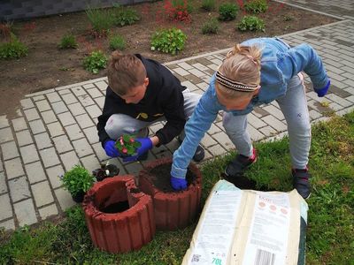 Dzieci z Placówki Wsparcia Dziennego w Kusicach dosypujące ziemię do gazonów. 