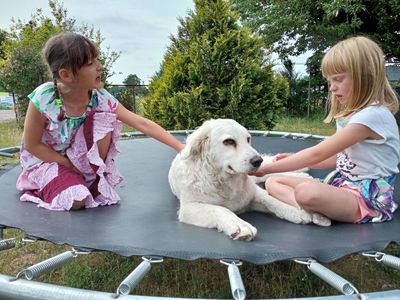 Dwie dziewczynki z Placówki Wsparcia Dziennego w Niemicy z psem na trampolinie. 