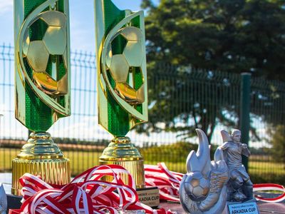 Puchary i medale - nagrody w turnieju Arkadia Cup.