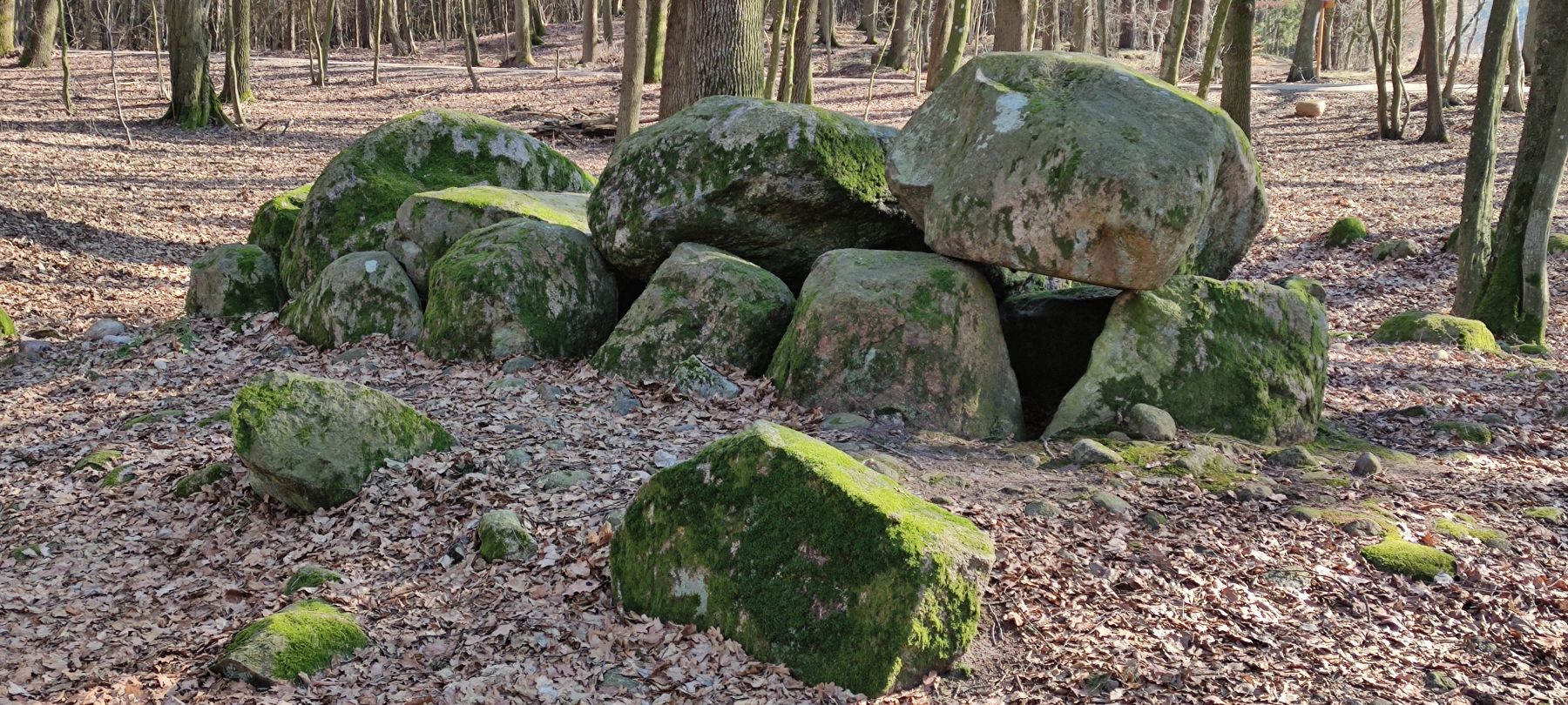 Zdjęcie grobowców megalitycznych w Borkowie.
