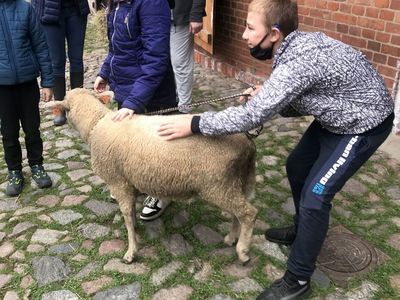 Zaprzyjaźnianie się z domowymi zwierzętami dzieci z SP Lejkowo. 
