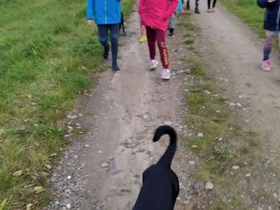 Dzieci z Placówki Wsparcia Dziennego z Lasek idą na spacer do lasu ze swoimi psami.
