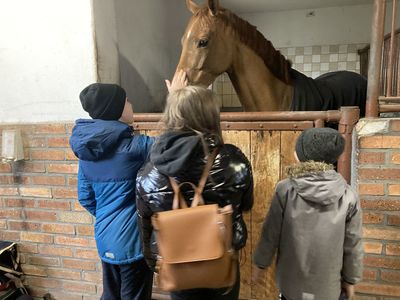 Dzieci z Placówki Wsparcia Dziennego w Święcianowie w trakcie zapoznawania się z koniem.