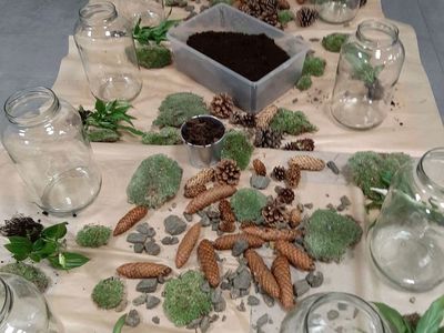 Produkty przygotowane do warsztatów, wyłożone na stole: szyszki, mech, ziemia, kamienie, liście, szklane słoje. 