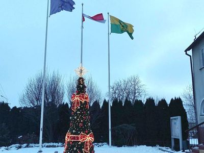 Choinka na tle flag przed malechowskim urzędem. 