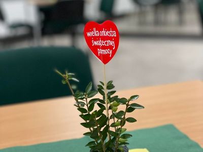 Zielona roślinka z serduszkiem WOŚP na stole w domowej kawiarence. 