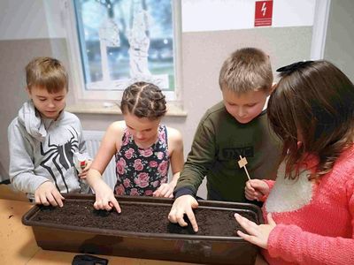 Dzieci z Placówki Wsparcia Dziennego w Kusiach wysiewają nasionka do doniczki.