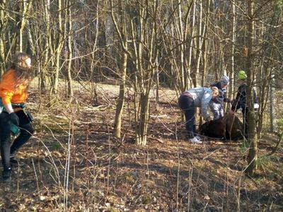 Dzieci z Placówki Wsparcia Dziennego w Pękaninie zbierają śmieci na placu zabaw.