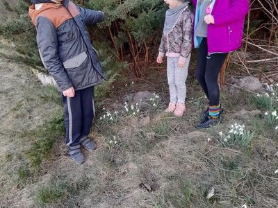 Dwie dziewczynki i chłopiec z Placówki Wsparcia Dziennego w Sulechowie pozujący do zdjęcia przy kępach przebiśniegów.
