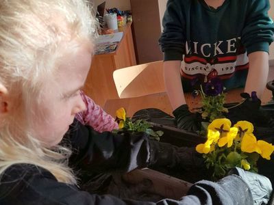 Dwie dziewczynki z Placówki Wsparcia Dziennego w Sulechowie sadzące bratki do donicy.