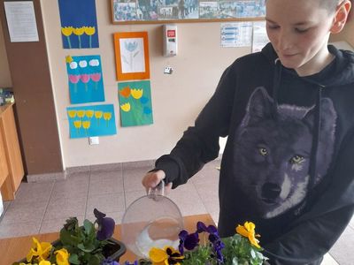 Chłopiec z Placówki Wsparcia Dziennego w Sulechowie podlewa posadzone bratki. 
