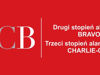 Ikona dekoracyjna.