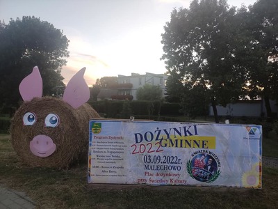 Plakat informujący o dożynkach gminnych i świnka z balotu słomy.
