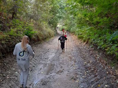 Dzieci z Placówki Wsparcia Dziennego w Sulechowie podczas spaceru leśną drogą. Dzieci spacerując, używają kijków do nordic walking.