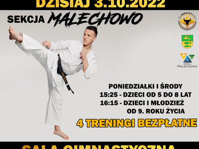 Plakat dotyczący zajęć karate.
