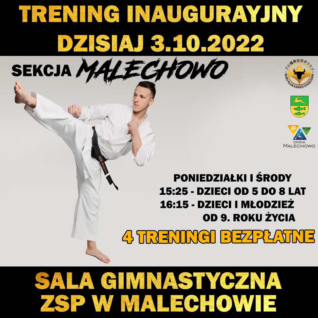 Plakat dotyczący zajęć karate.