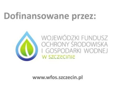 Ikona dekoracyjna.