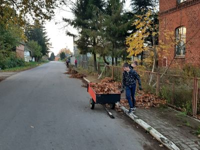 Chłopcy z Przystaw sprzątają liście. 