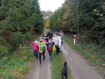 Dzieci z PWD z Lasek na spacerze w lesie wraz ze swoimi psami.