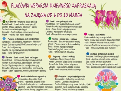 Harmonogram zajęć w PWD.