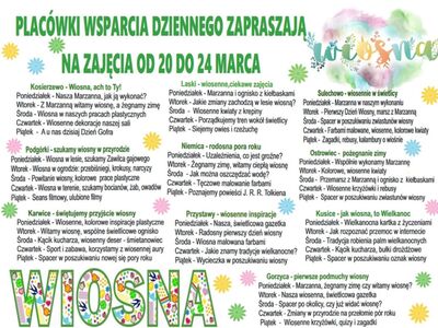 Harmonogram zajęć w PWD.