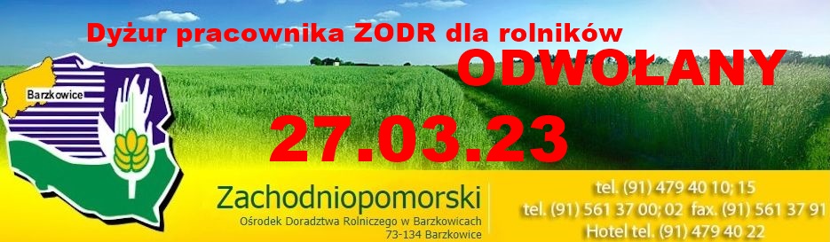 Informacja o odwołaniu dyżuru. 