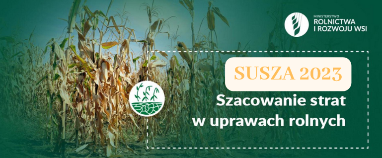 Ikona dekoracyjna. 